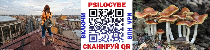 Псилоцибиновые грибы MAGIC MUSHROOMS  Цоци-Юрт 